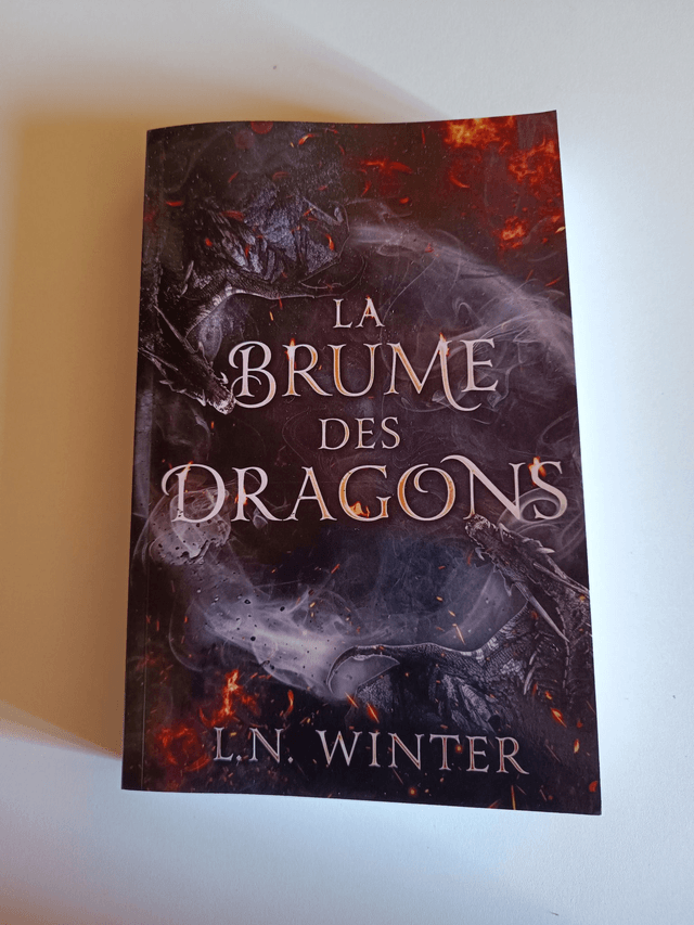 La brume des dragons - broché d'occasion